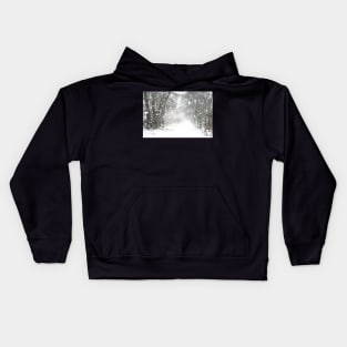 Winter Whiteout Kids Hoodie